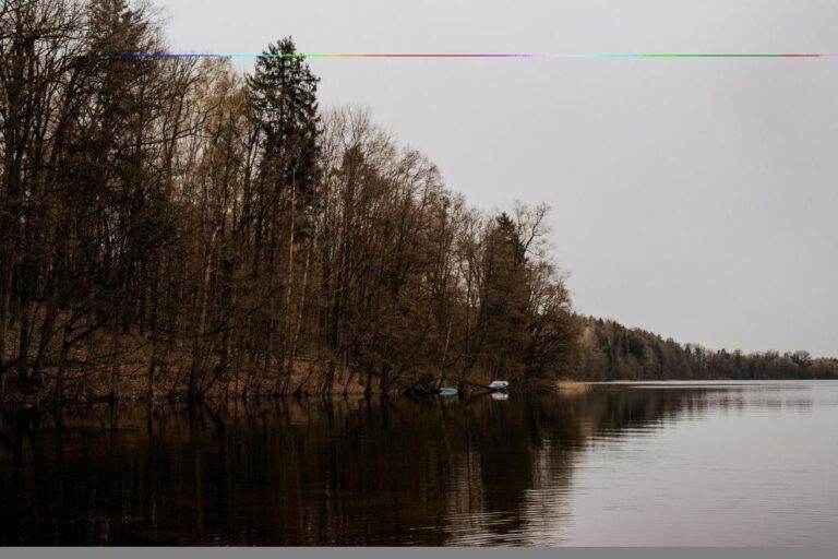 Widok na jezioro i zalesiony brzeg